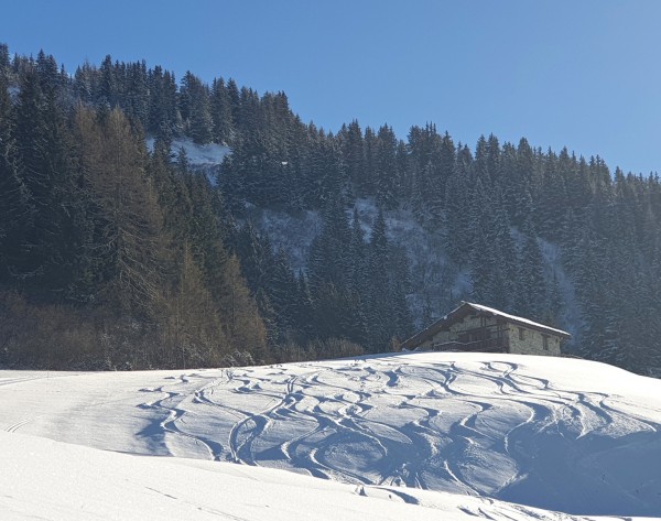 Les Arcs 2019-01-3.jpg