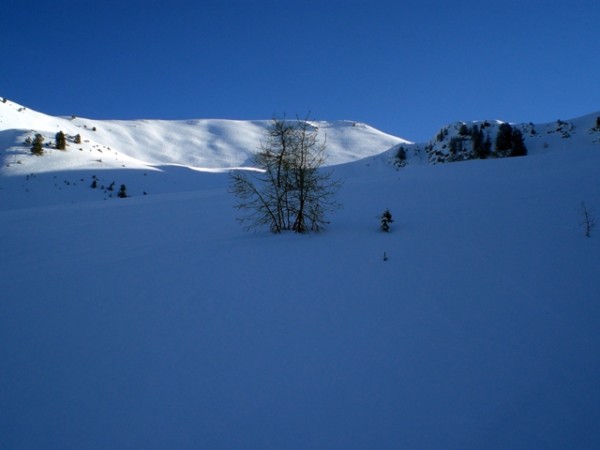 CIMG9450.JPG (204.21 Kio) Vu 46522 fois CIMG9450.JPG