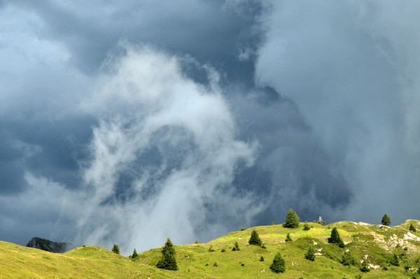 DSC_2631.JPG (163.88 Kio) Vu 17393 fois DSC_2631.JPG