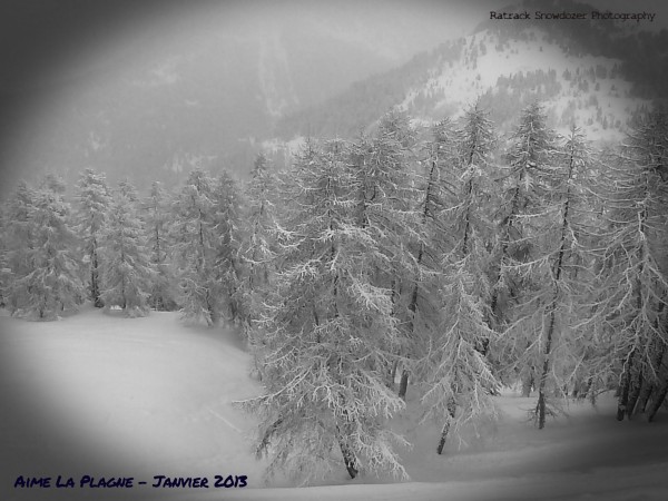 P1010907.JPG (851.17 Kio) Vu 20017 fois P1010907.JPG