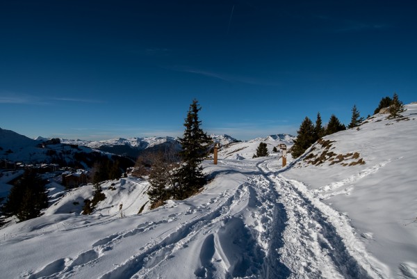 _DSC9203.jpg