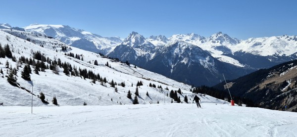 20250406_Levasset1.jpg