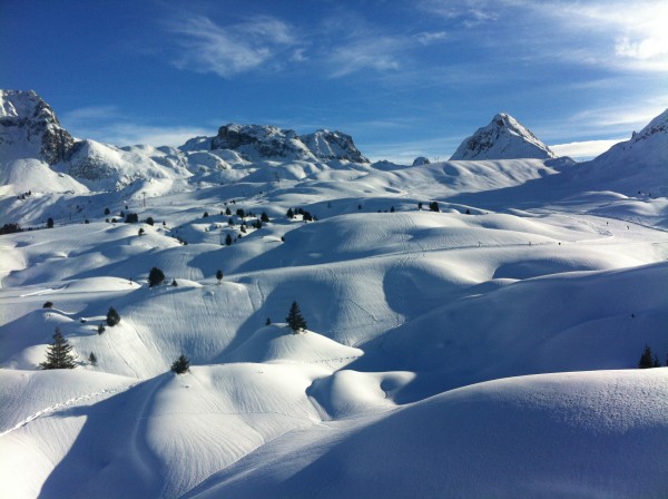 IMG_1223.JPG (1.93 Mio) Vu 15054 fois IMG_1223.JPG