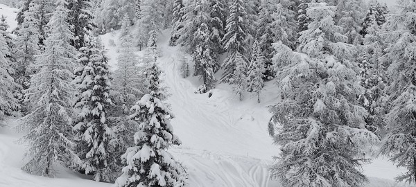 IMG_20240107_135122.jpg (4.14 Mio) Vu 143394 fois IMG_20240107_135122.jpg