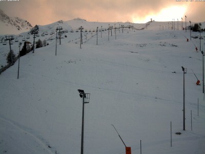 araucaria1_MEGA.jpg (237.79 Kio) Vu 14992 fois araucaria1_MEGA.jpg