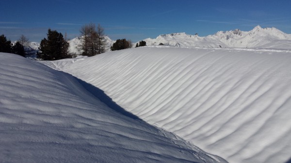 20180106_130939.jpg (2.72 Mio) Vu 36432 fois 20180106_130939.jpg